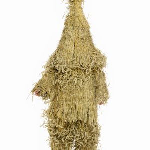 Henry Bourne photographer Arcadia Britannica