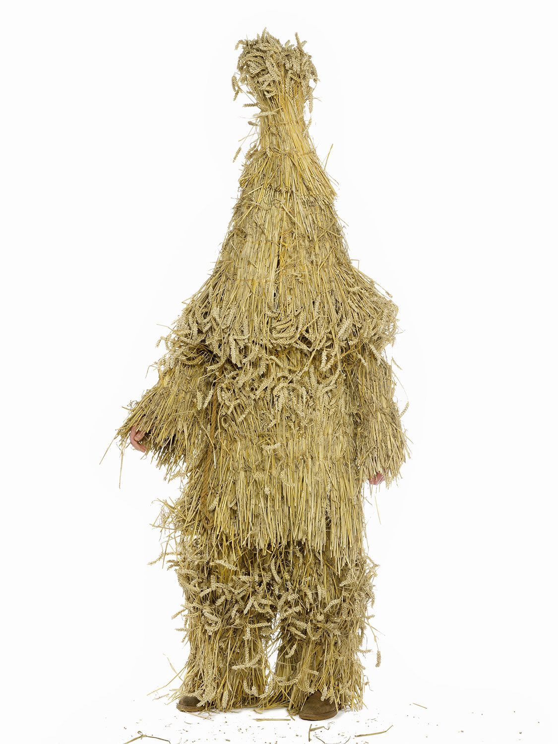 Henry Bourne photographer Arcadia Britannica