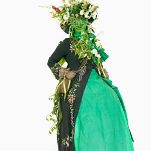 Henry Bourne Photographer Arcadia Britannica