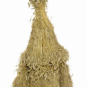 Henry Bourne Photographer Arcadia Britannica