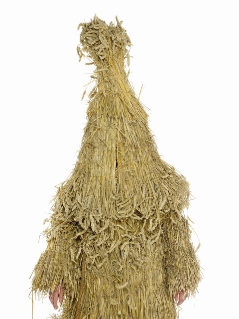 Henry Bourne Photographer Arcadia Britannica