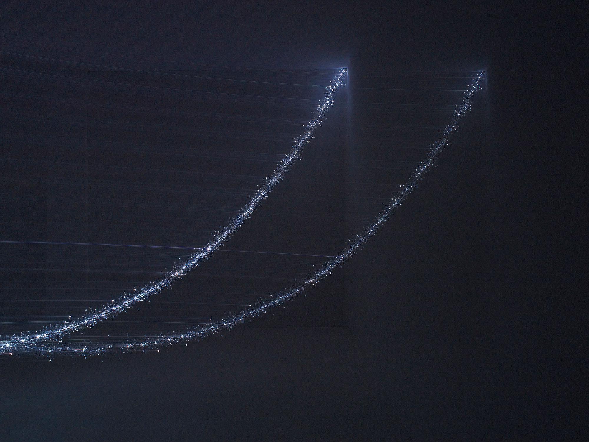 Henry Bourne Photographer Crystal Palace