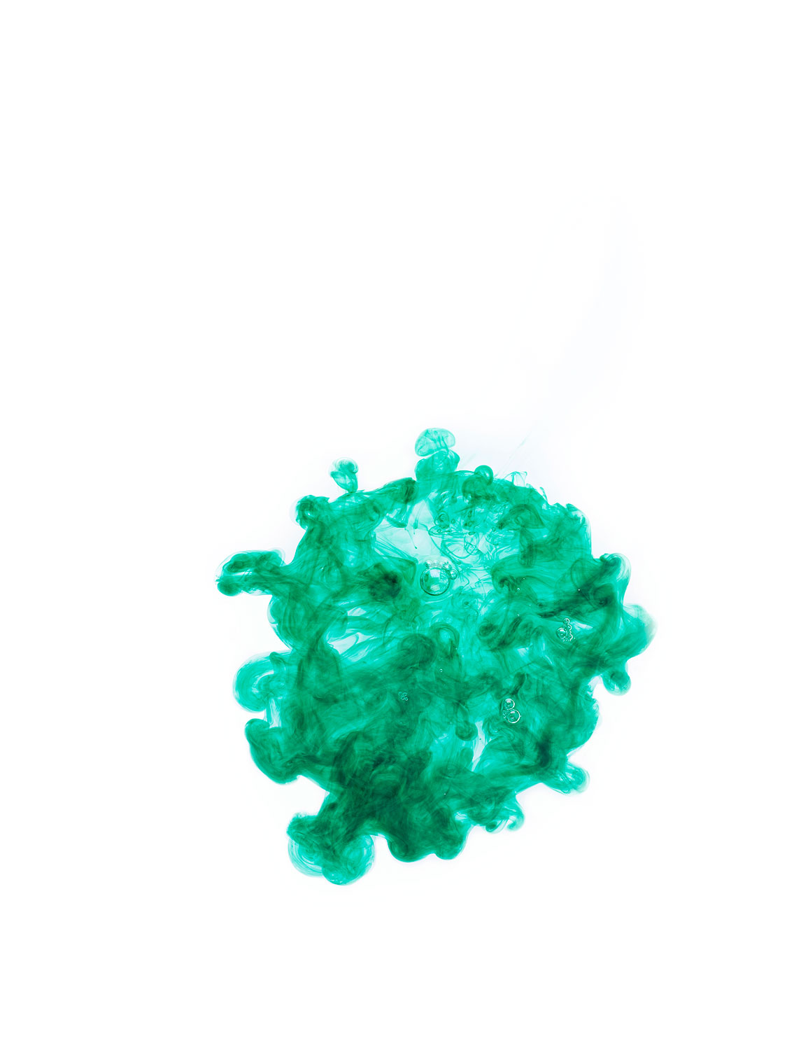 Henry Bourne Photographer