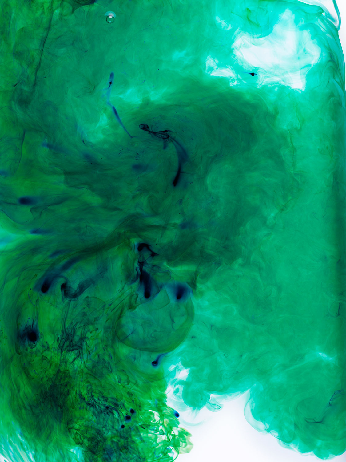 Henry Bourne Photographer