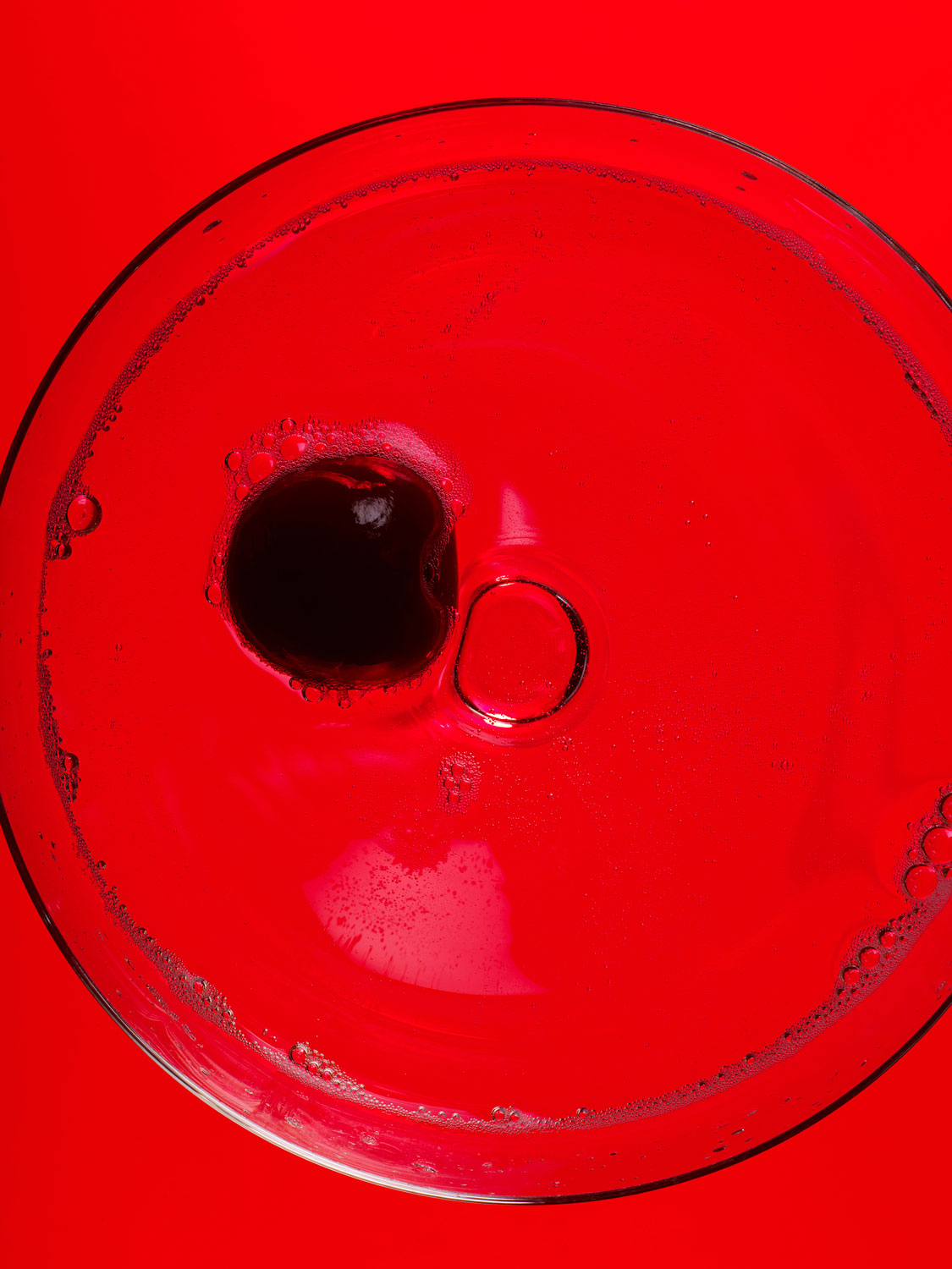 Henry Bourne Photographer