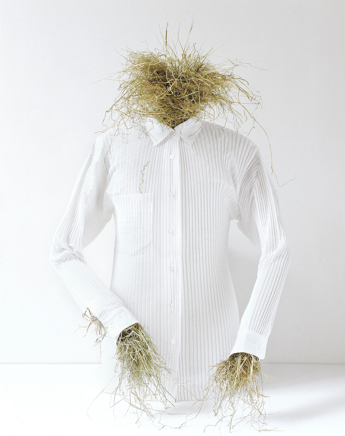 Henry Bourne Photographer