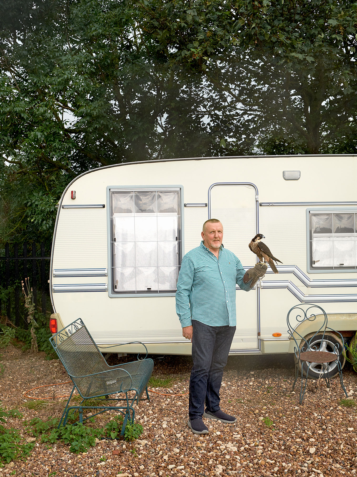 henry bourne photographer, falcon portrait