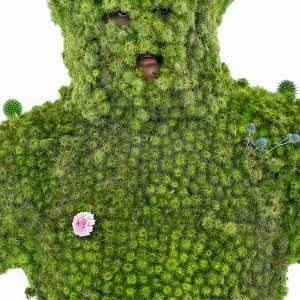 Arcadia Britannica, The Burry Man, #1, Queensbury, Scotland 2009.